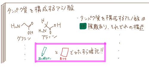 東大新領域先端生命の院試を3ヶ月で突破した勉強方法 | 夫婦円満不動産日記